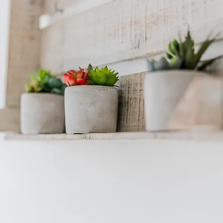 Mm - Cozy In Santa Cruz Apartment